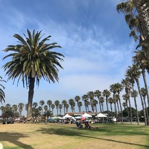 Meet your Posher, Yesenia